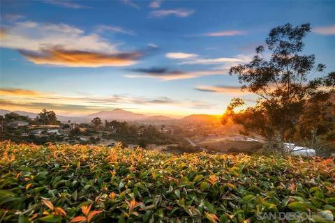 3277 Loma Estates Ct, Jamul, CA 91935 photo 4