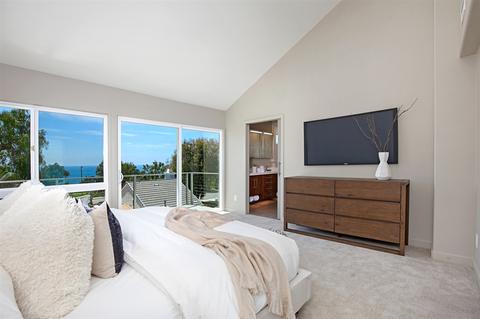 311 8th St, Del Mar, CA 92014 photo 17
