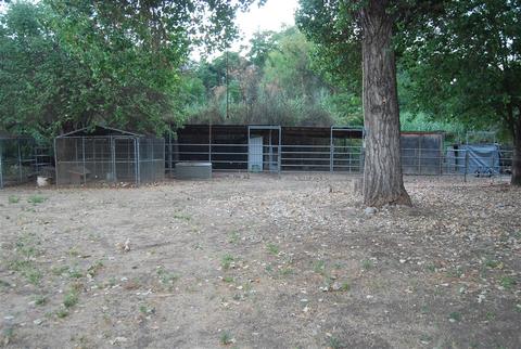 11105 Highway 67, Lakeside, CA 92040 photo 23