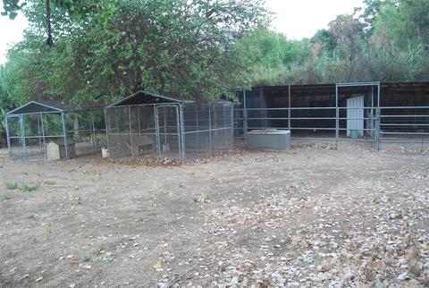 11105 Highway 67, Lakeside, CA 92040 photo 22
