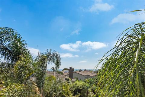 7085 Crystalline Dr, Carlsbad, CA 92011 photo 21