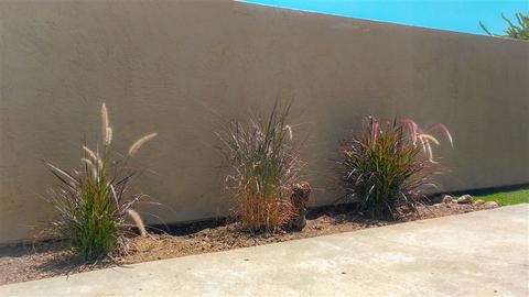 7986 Arly Ct #3, Santee, CA 92071 photo 19