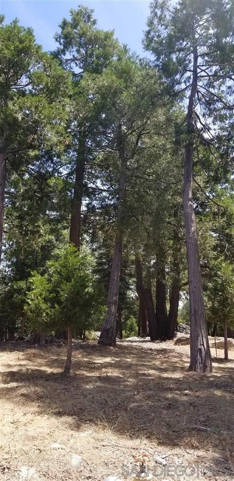 22668 Conifer Ln, Palomar Mountain, CA 92060 photo 13
