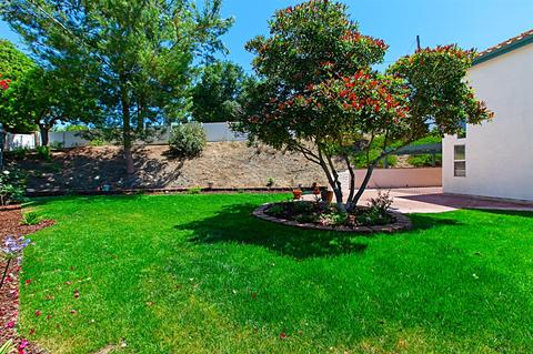 316 Arroyo Vis, Fallbrook, CA 92028 photo 5