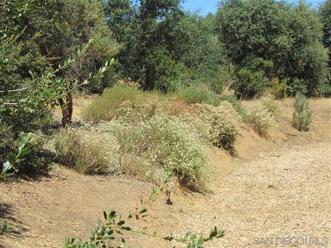 Undisclosed, Descanso, CA 91916 photo 12
