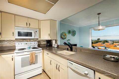 908 Caminito Madrigal #E, Carlsbad, CA 92011 photo 7