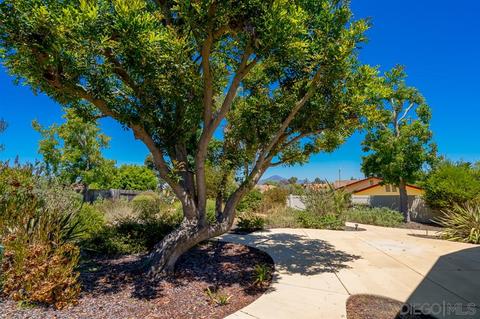 1315 Valencia Loop, Chula Vista, CA 91910 photo 23