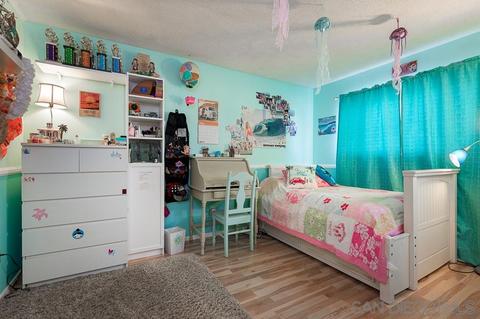 384 Nothomb St, El Cajon, CA 92019 photo 17