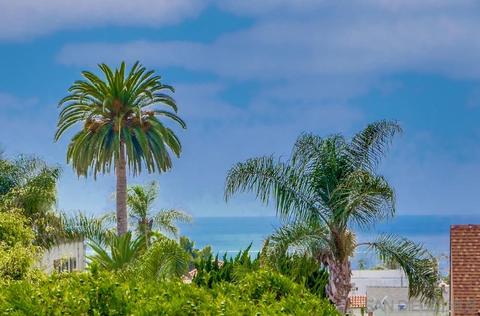 7446 Draper Ave, La Jolla, CA 92037 photo 19