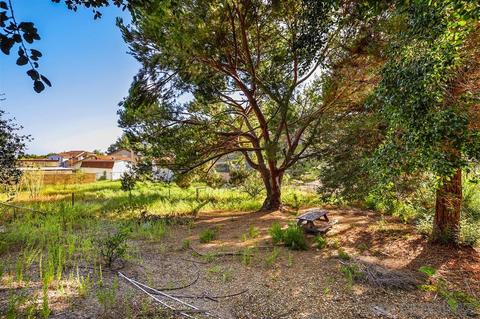 1447 Pine Ridge Rd, Oceanside, CA 92056 photo 25