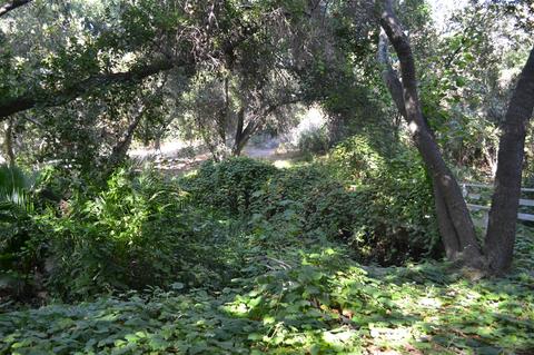 38686 Harris Trl, Fallbrook, CA 92028 photo 22