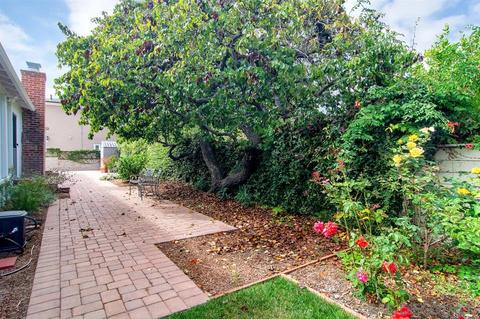 7570 High Ave, La Jolla, CA 92037 photo 13