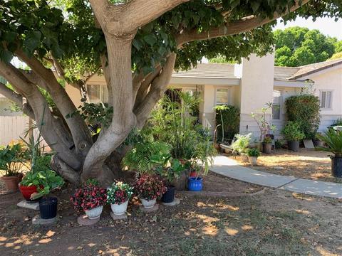 180 Via Floresta, Fallbrook, CA 92028 photo 4