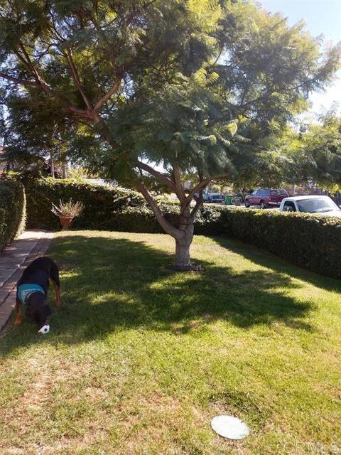 1626 S Nevada, Oceanside, CA 92054 photo 6