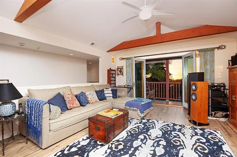 817 Eugenie Ave, Encinitas, CA 92024 photo 22