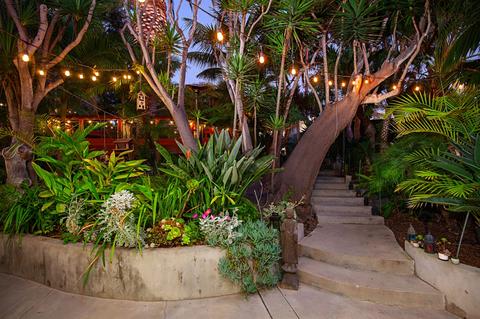817 Eugenie Ave, Encinitas, CA 92024 photo 2