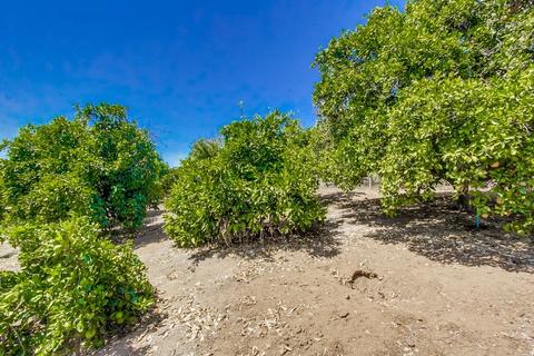 8872 Lakeview Rd, Lakeside, CA 92040 photo 25