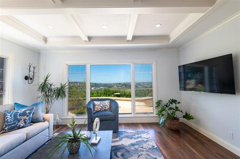 976 Santa Estella, Solana Beach, CA 92075 photo 13