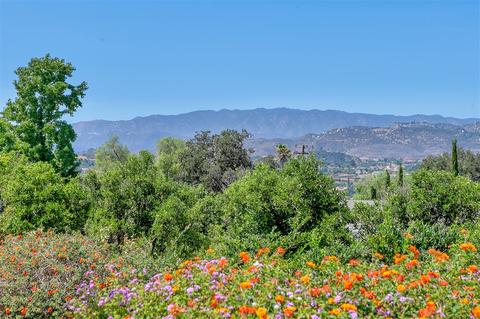 949 Riverview Dr, Fallbrook, CA 92028 photo 2
