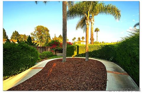1550 Corte De Mija, Oceanside, CA 92056 photo 23