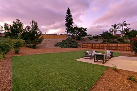 1727 Cereus Ct, Carlsbad, CA 92011 photo 23