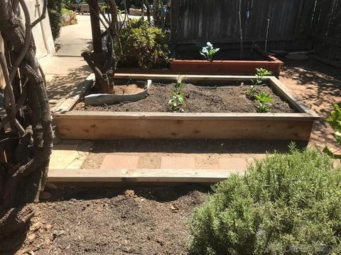 6291 Lambda, San Diego, CA 92120 photo 21