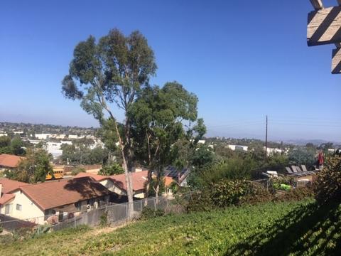 1015 Stiles Ct, Vista, CA 92083 photo 13