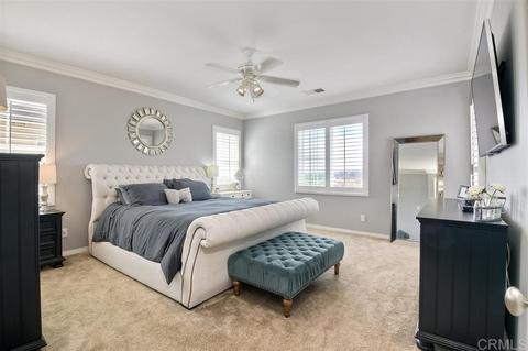 6983 Bixbite Pl, Carlsbad, CA 92009 photo 13