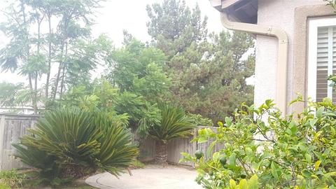 1857 Sheep Ranch Loop, Chula Vista, CA 91913 photo 23