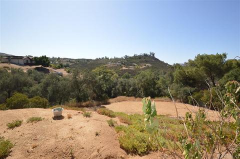 14641 Olive Vis, Jamul, CA 91935 photo 10