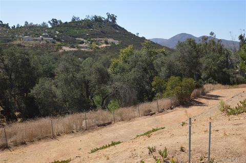 14641 Olive Vis, Jamul, CA 91935 photo 9