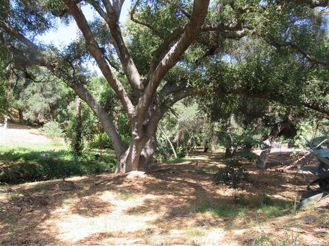 3045 Felicita Rd, Escondido, CA 92029 photo 21