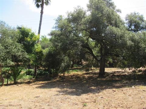 3045 Felicita Rd, Escondido, CA 92029 photo 22