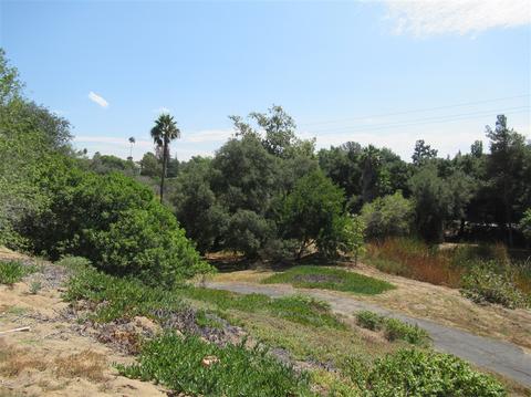 3045 Felicita Rd, Escondido, CA 92029 photo 25