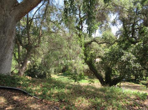3045 Felicita Rd, Escondido, CA 92029 photo 23