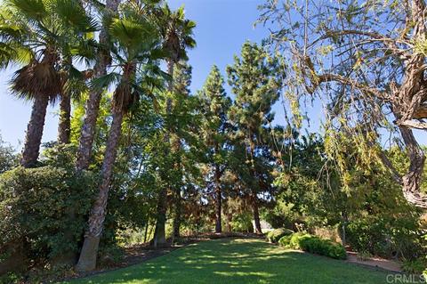 1789 Winterwarm Dr, Fallbrook, CA 92028 photo 6