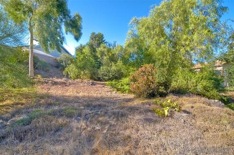 9324 Flinn Crest St, El Cajon, CA 92021 photo 23