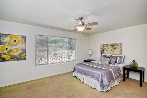 9324 Flinn Crest St, El Cajon, CA 92021 photo 16