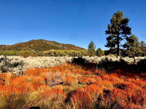 8408 Valley View Trl, Pine Valley, CA 91962 photo 23