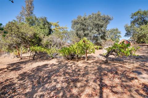 1435 Big Red Rd, Alpine, CA 91901 photo 23