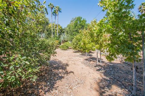 1453 Chase Ln, El Cajon, CA 92020 photo 4