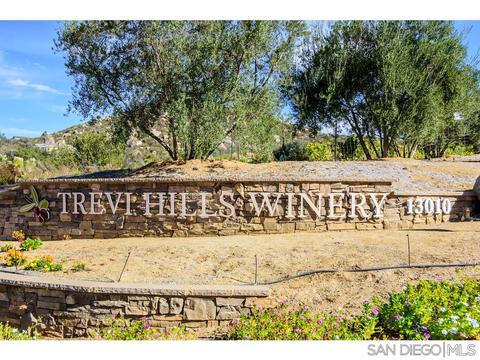12853 Vineyard Crst, Lakeside, CA 92040 photo 21