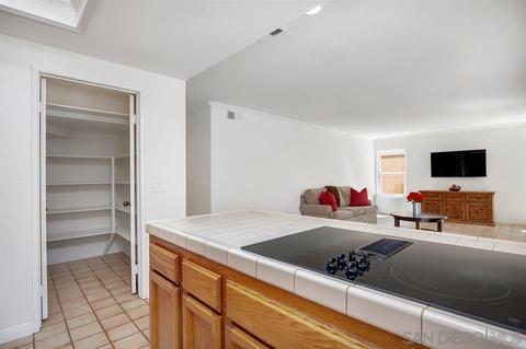 318 Via Andalusia, Encinitas, CA 92024 photo 12