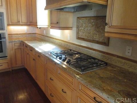 192 Pacific View Ln, Encinitas, CA 92024 photo 10