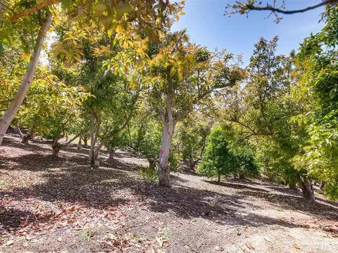 1560 Vista Del Lago, Fallbrook, CA 92028 photo 23