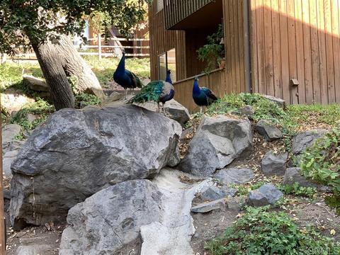 2157 Arnold Way #123, Alpine, CA 91901 photo 14