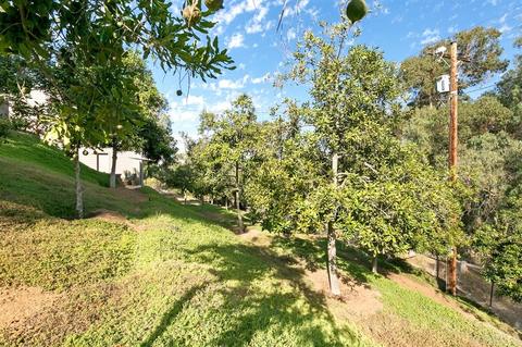 365 Ocean View Ave, Encinitas, CA 92024 photo 23