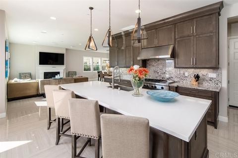 2563 Wellspring St, Carlsbad, CA 92010 photo 10