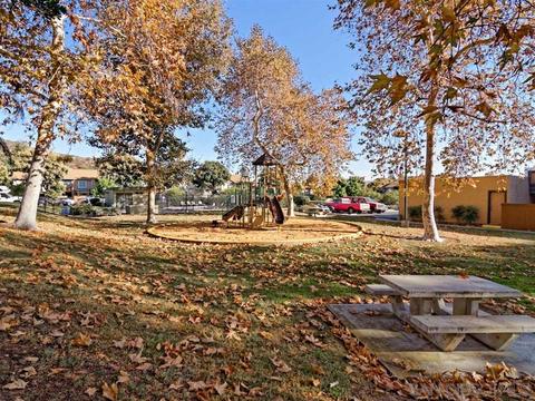 10214 Princess Sarit Way, Santee, CA 92071 photo 20