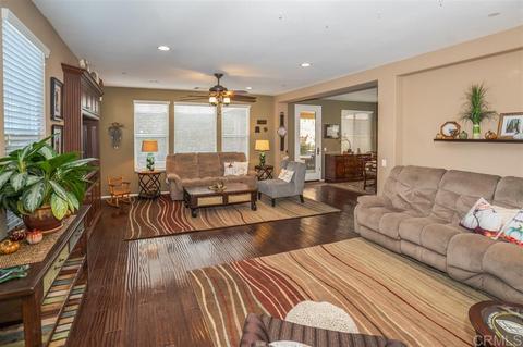 10006 Merry Brook Trl, Santee, CA 92071 photo 3
